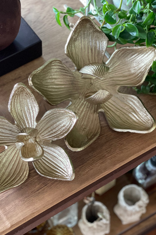 FLOR MAGNOLIO GRANDE