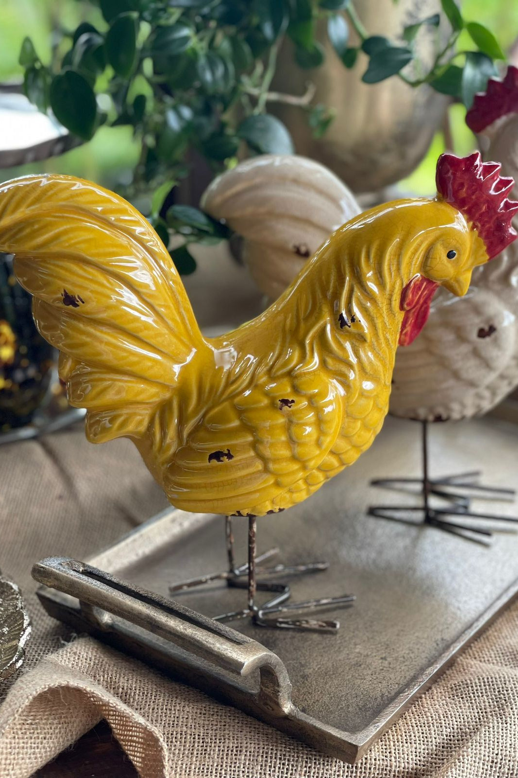 GALLO AMARILLO