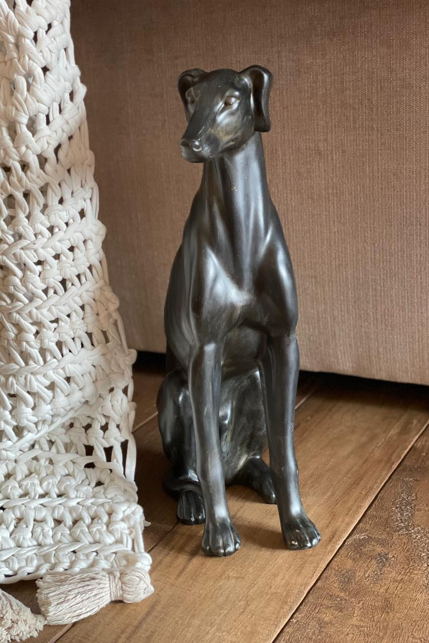 GALGO NEGRO