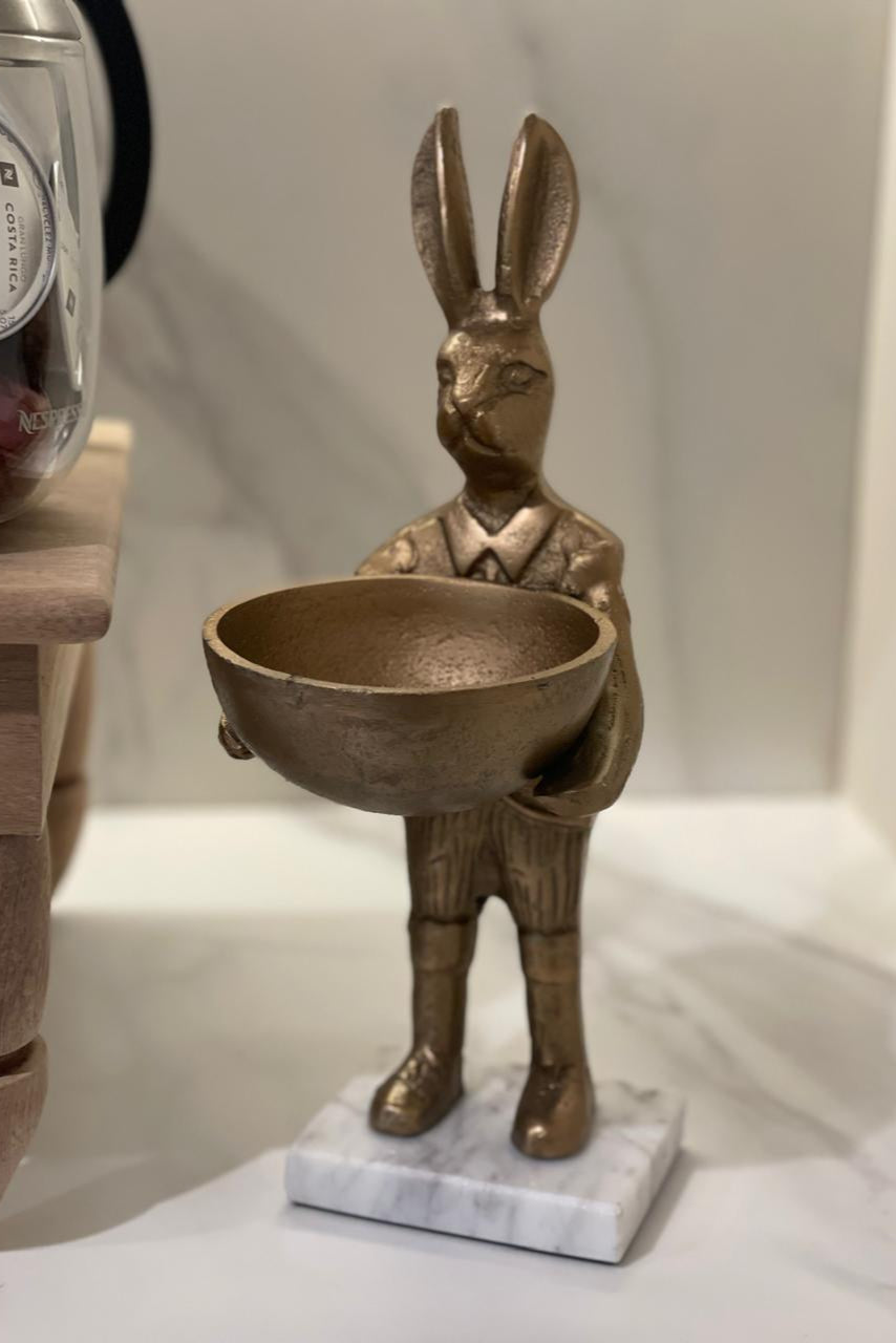CONEJO EN PIEDRA