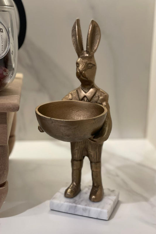 CONEJO EN PIEDRA